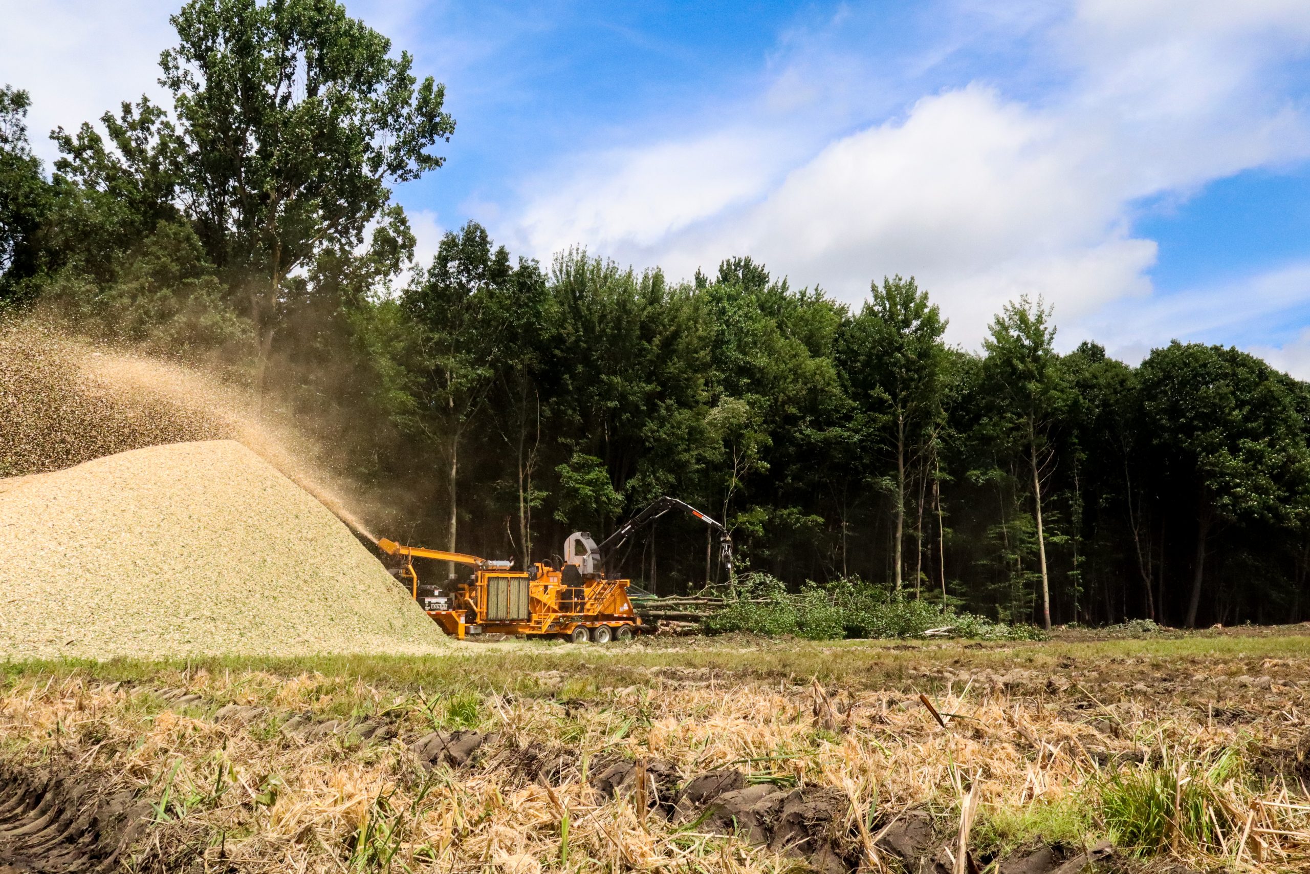 Clear Cutting Services